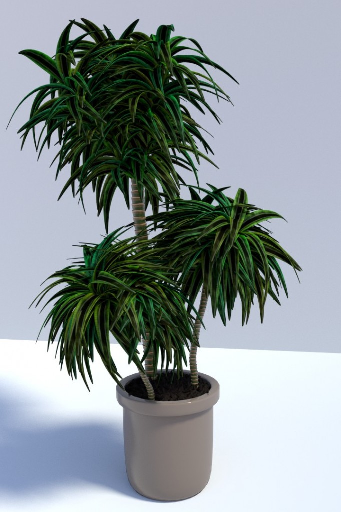 Dracaena Fragrans (Interior Plant) preview image 1